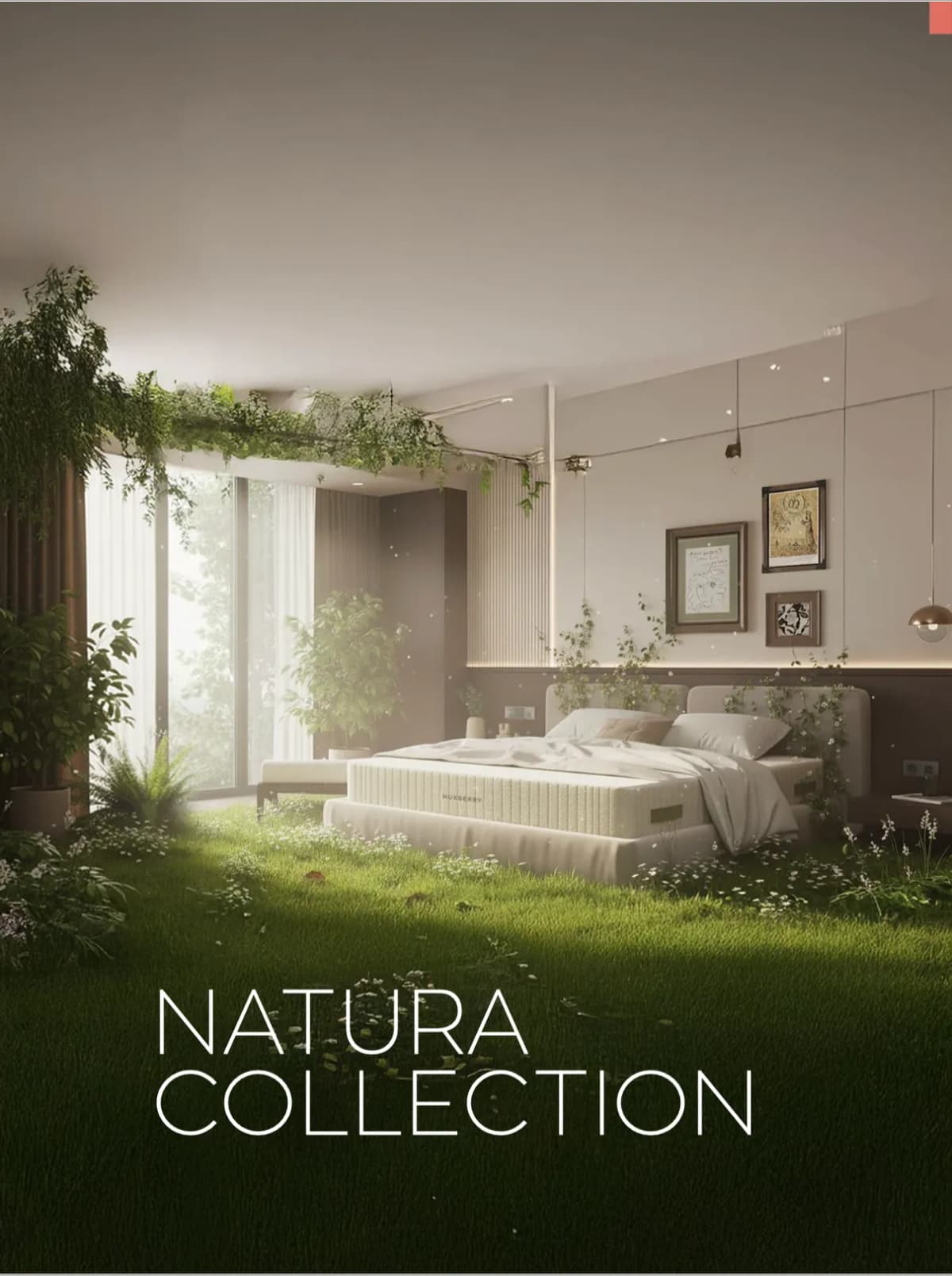 Natura Collection